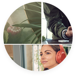 Theme Modules - massonry grid